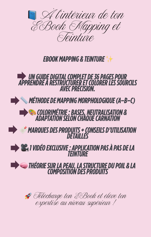 Ebook mapping et teinture 100 % digital